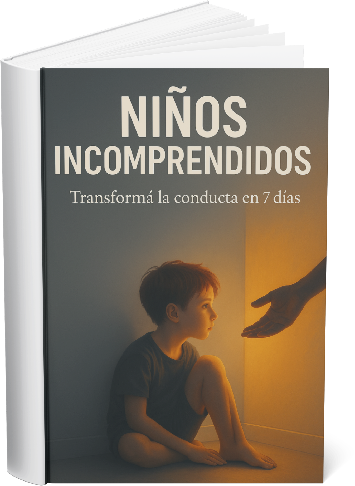 Niños Incomprendidos